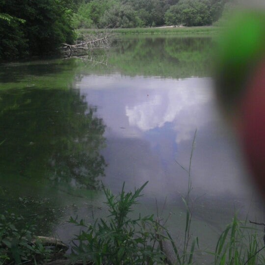 My Image 5
