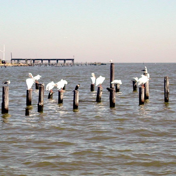 Seabrook - City Hall