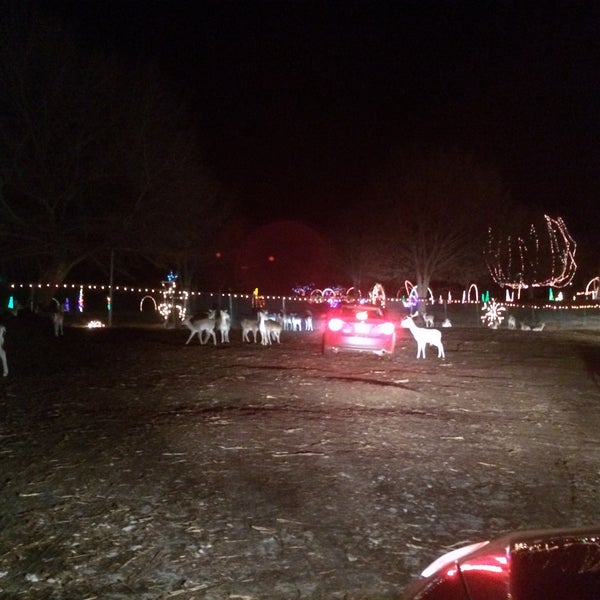 Hollywild Christmas Lights Safari Exhibit in Inman