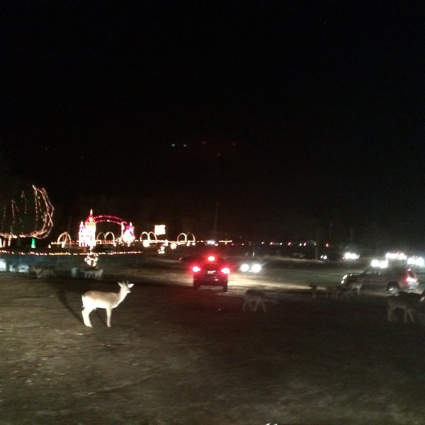 Hollywild Christmas Lights Safari Exhibit in Inman