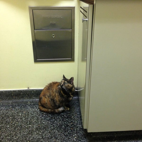 9/6/2013에 Eric M.님이 VCA All Pets Hospital에서 찍은 사진
