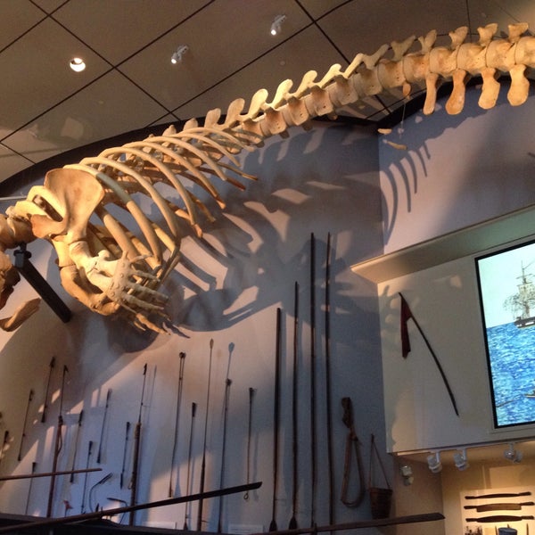 Снимок сделан в The Whaling Museum пользователем Mary M. 9/6/2015