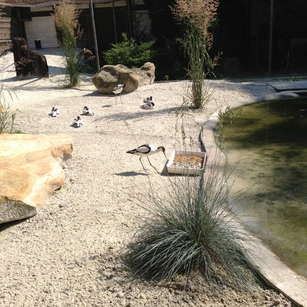 Wildpark Reuschenberg Zoo in Leverkusen