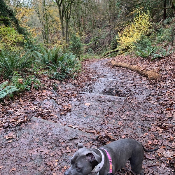 Photos at Interlaken Park Park in Seattle