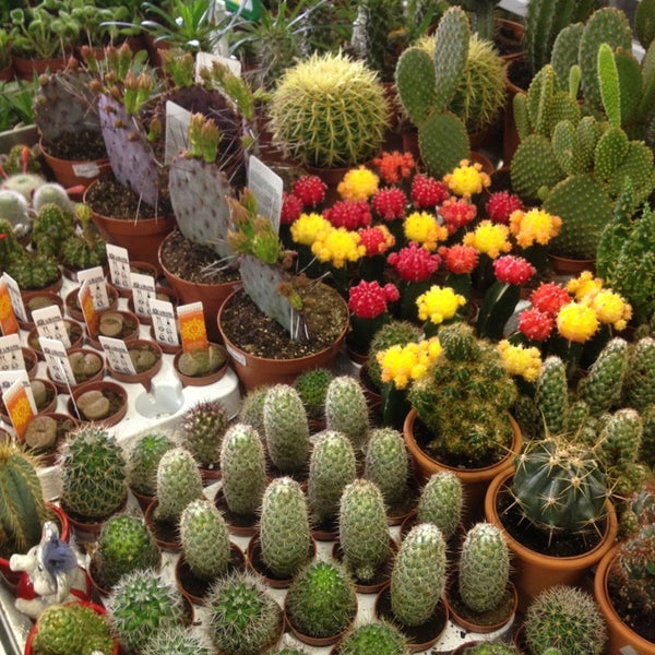 Зеленый молл октябрьская ул 8 фото Зеленый молл - Flower Store in Округ Шувалово-Озерки