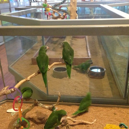 Lebanon Pet and Aquarium Center Pet Supplies Store en West Lebanon