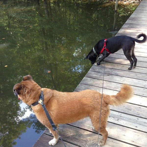 รูปภาพถ่ายที่ Anne Springs Close Greenway โดย Beth S. เมื่อ 10/6/2013