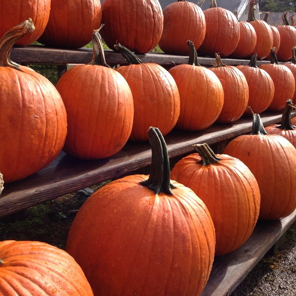 Photos At Coastal Landscaping And Garden Center Town Of York Me