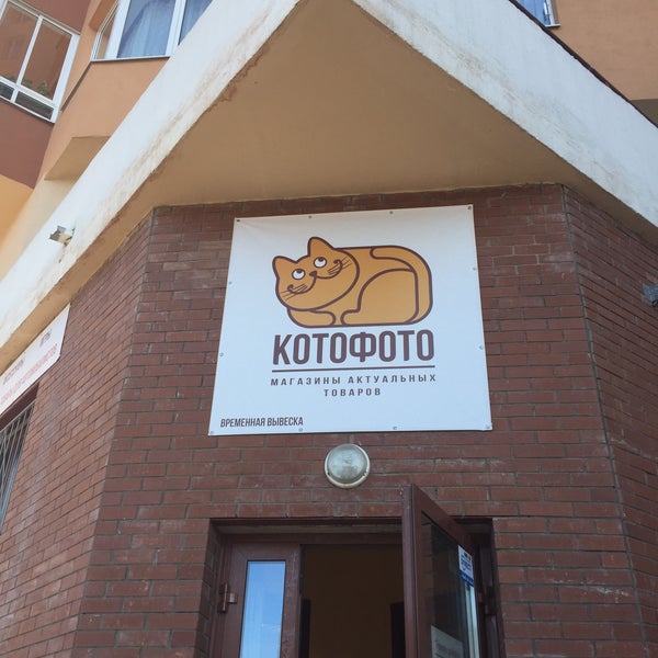 Котофото Интернет Магазин