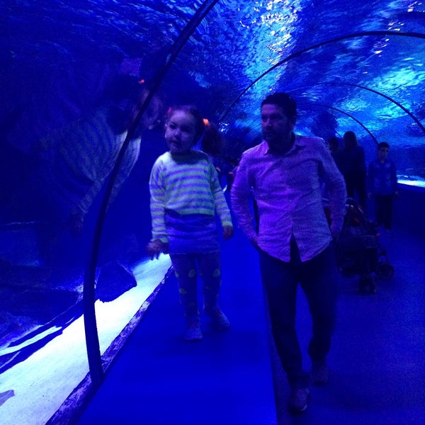 Foto diambil di Antalya Aquarium oleh Nilay D. pada 3/13/2016