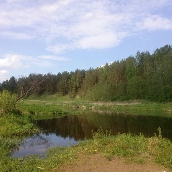 Ул Маяковского Лежнево