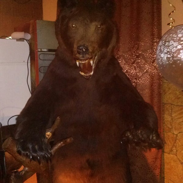 Бар медведь