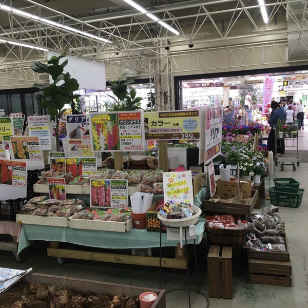 ジョイフル本田 新田店 ガーデンセンター 太田市 129 Visitors