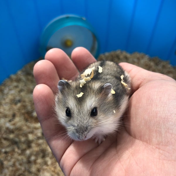 Photos At 日光花いちもんめ 小佐越坂の下800