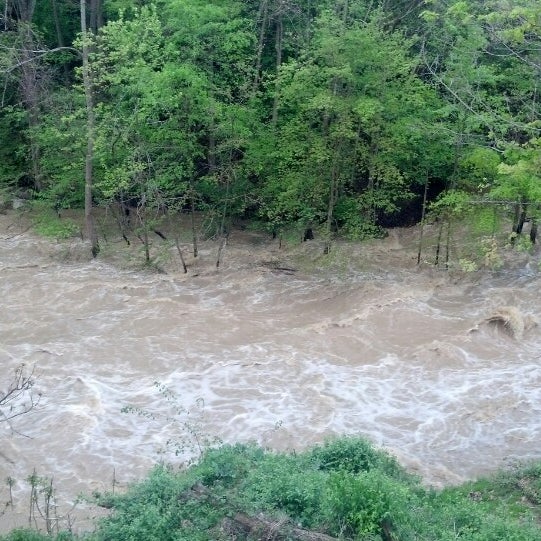 Photos at Moosehead Hoof & Ladder 19 tips