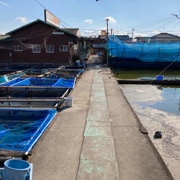 Fotos Em 金魚のふる里 やまと錦魚園 郡山金魚資料館 大和郡山市 奈良県 Fotos Em 金魚のふる里 やまと錦魚園 郡山金魚資料館 大和郡山市 奈良県