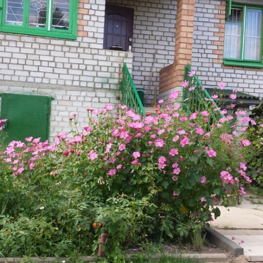 Дача ветеранов. Участок 6 соток в снт. Дача ветеранов. Романово ул. Снт александровка.
