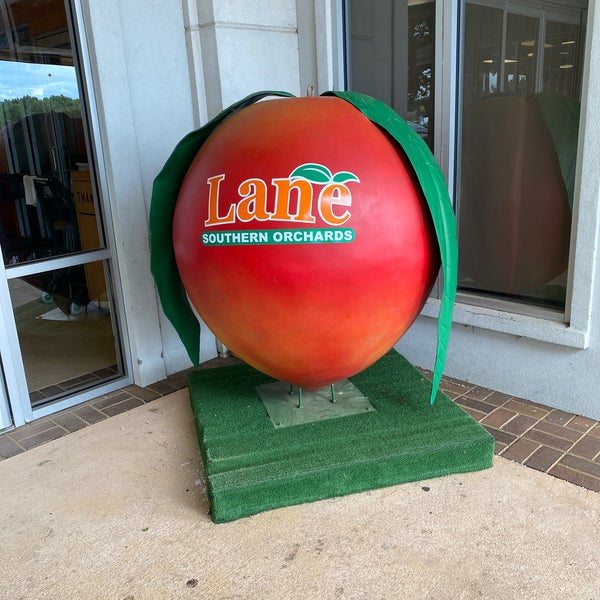 Foto diambil di Lane Southern Orchards oleh Tricia H. pada 5/26/2020