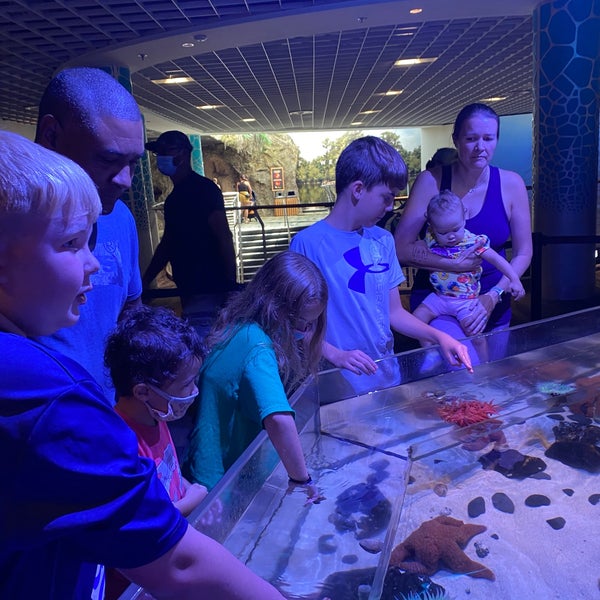 7/17/2021 tarihinde Tricia H.ziyaretçi tarafından The Florida Aquarium'de çekilen fotoğraf