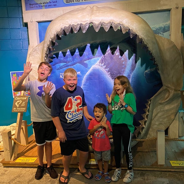 Foto tirada no(a) The Florida Aquarium por Tricia H. em 7/17/2021