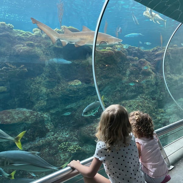Foto tirada no(a) The Florida Aquarium por HSN em 6/26/2022