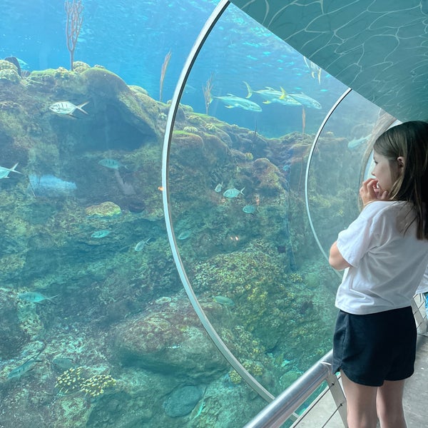 Foto scattata a The Florida Aquarium da HSN il 6/26/2022