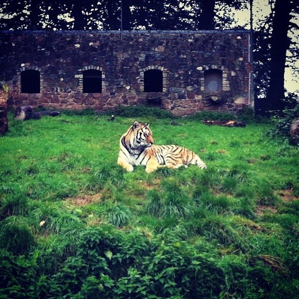 Photo taken at Dartmoor Zoological Park by Alejandro P. on 9/19/2013