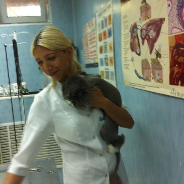 киржач ветклиника айболит. айболит ветклиника смоленск. айболит грозный ветклиника. ветеринарная клиника белово айболит. ветеринарная клиника город киржач.