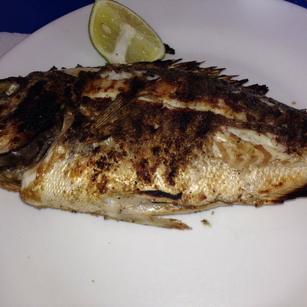 Photos à Flouka La Goulette, Tunis