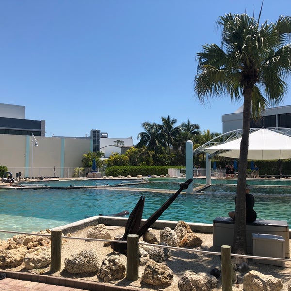 Foto tirada no(a) Miami Seaquarium por Aleksandar A. em 4/26/2018