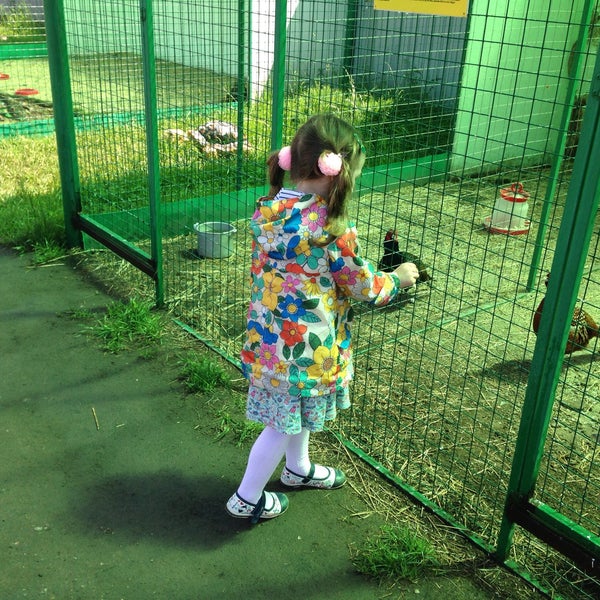 Птичья дача. Птичья дача сызрань режим. Птичья дача. Контактный зоопарк сызрань птичья дача. Зоопарк птичья дача в городе сызрань.