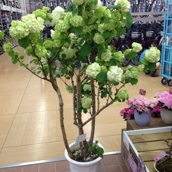 Photos At コメリパワー 大牟田店 1 Tip