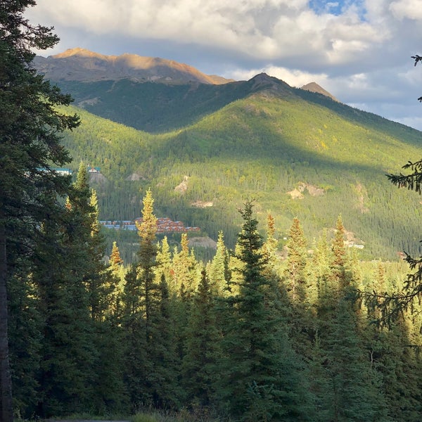 Hap Denali National Park Summer