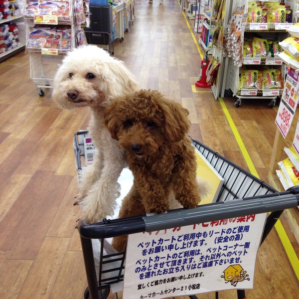 Photos At カーマ21 小松店 小松市 石川県