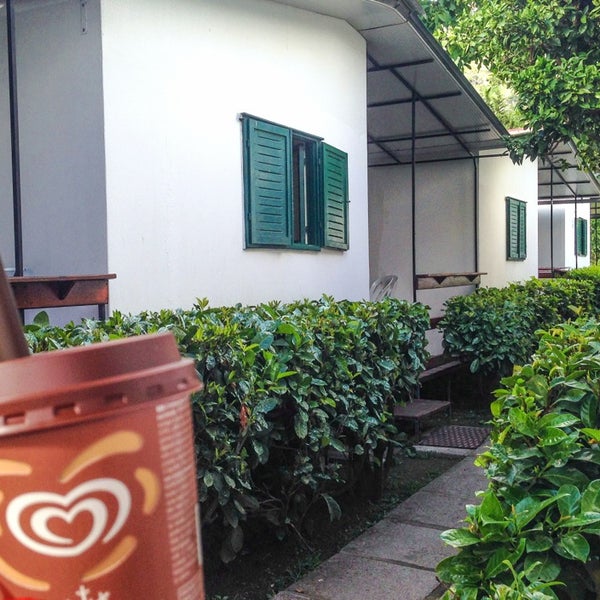 Alta costa текила. Альта коста отзывы. Альта коста отзывы. Costa alta дюрсо. Альта коста сильвер с текилой.