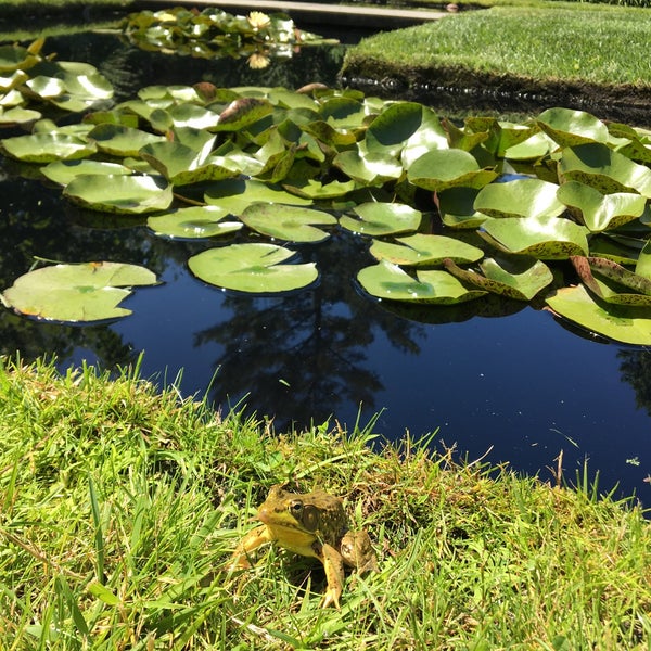 Photos At Donald M Kendall Sculpture Gardens At Pepsico 4 Tips