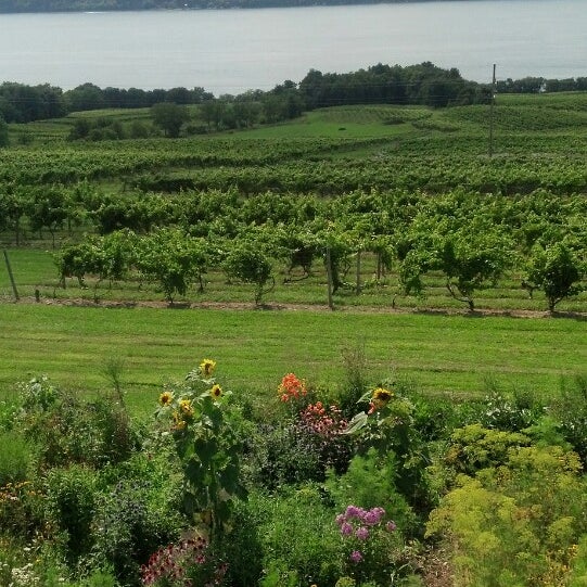 Foto tirada no(a) Atwater Estate Vineyards por Holly em 8/9/2014