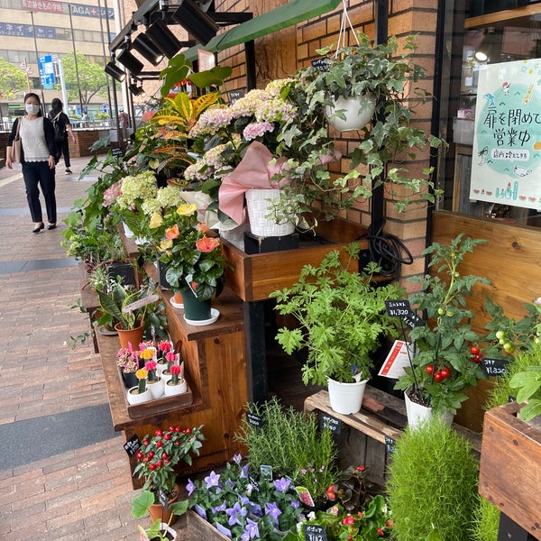 Photos At Flower Box フラワーボックス 神戸国際会館店 中央区 中央区御幸通8 1 6