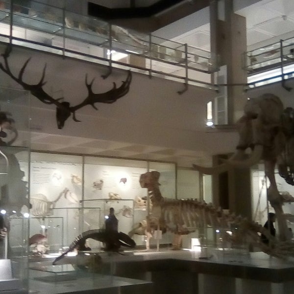 Photo taken at Cambridge University Museum Of Zoology by Arzu . on 5/6/2019