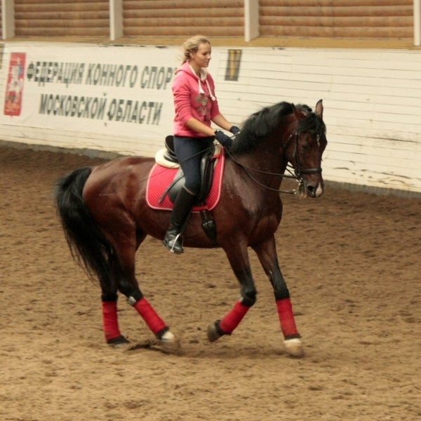 Конно спортивный комплекс москва