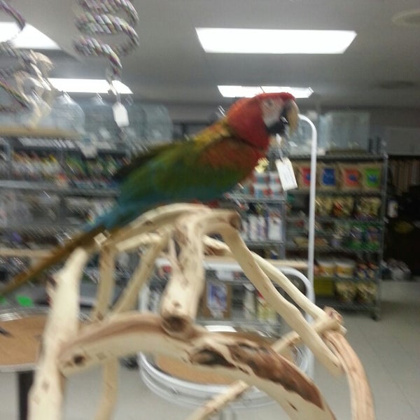 Bird store