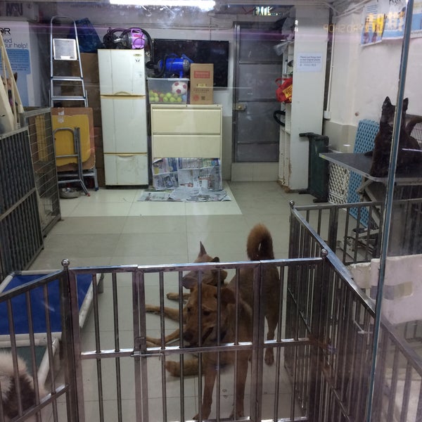 Hong Kong Dog Rescue 香港救狗之家 - Animal Shelter in Ap Lei Chau