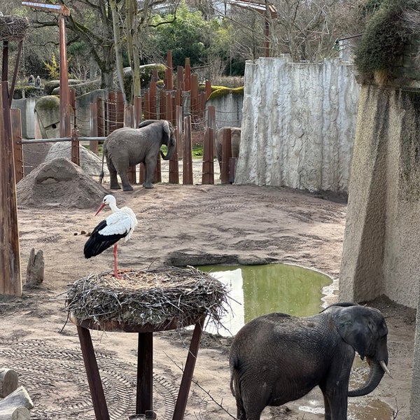 Photo taken at Zoo Basel by Alex R. on 2/20/2024