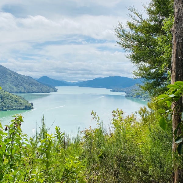 Marlborough Region New Zealand озеро Чалиса