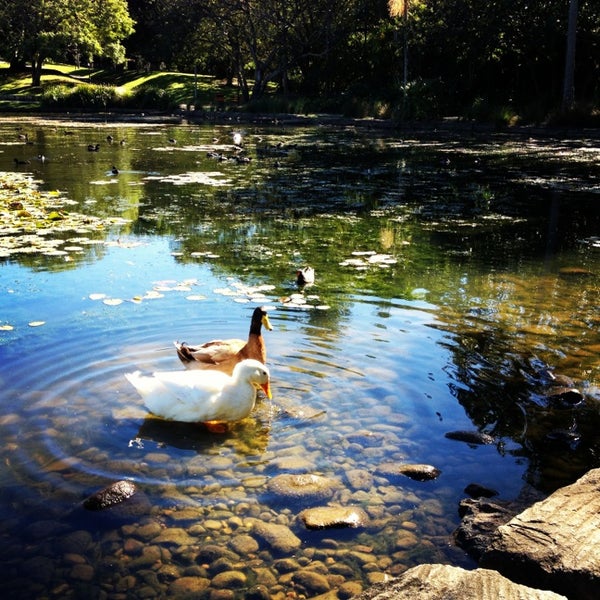 UQ Great Lake - 5 tips from 421 visitors