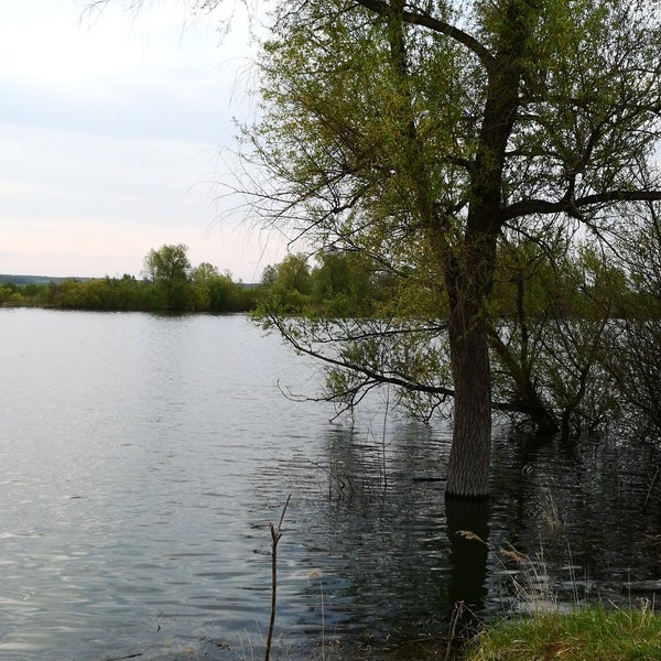 База отдыха курья сургут