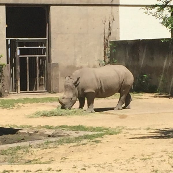 รูปภาพถ่ายที่ Henry Vilas Zoo โดย Michael G. เมื่อ 7/29/2017
