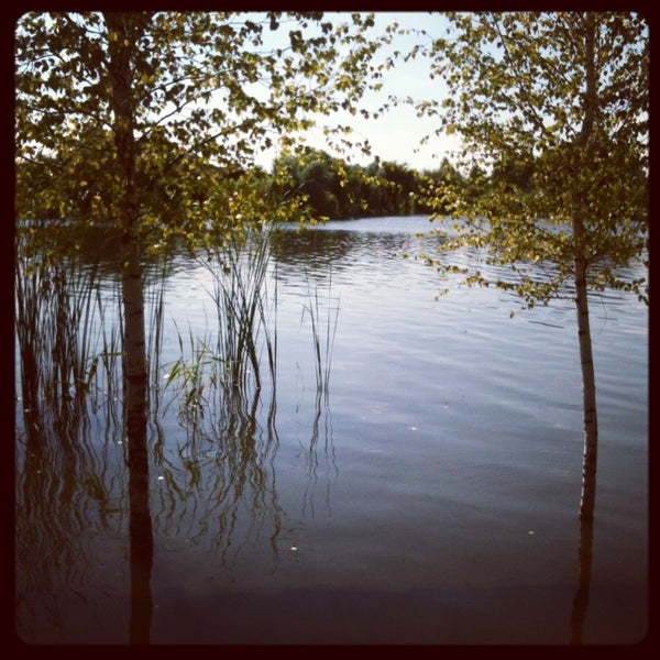 Озеро бобры