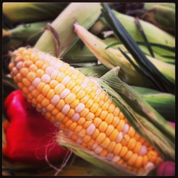 Fairfax City Farmers Market Saturday 1 tip