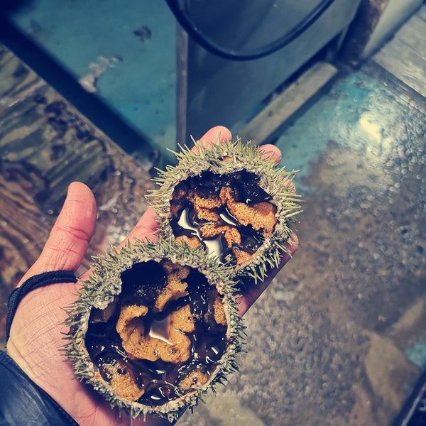 Foto scattata a Astoria Seafood da Astoria Seafood il 9/10/2019